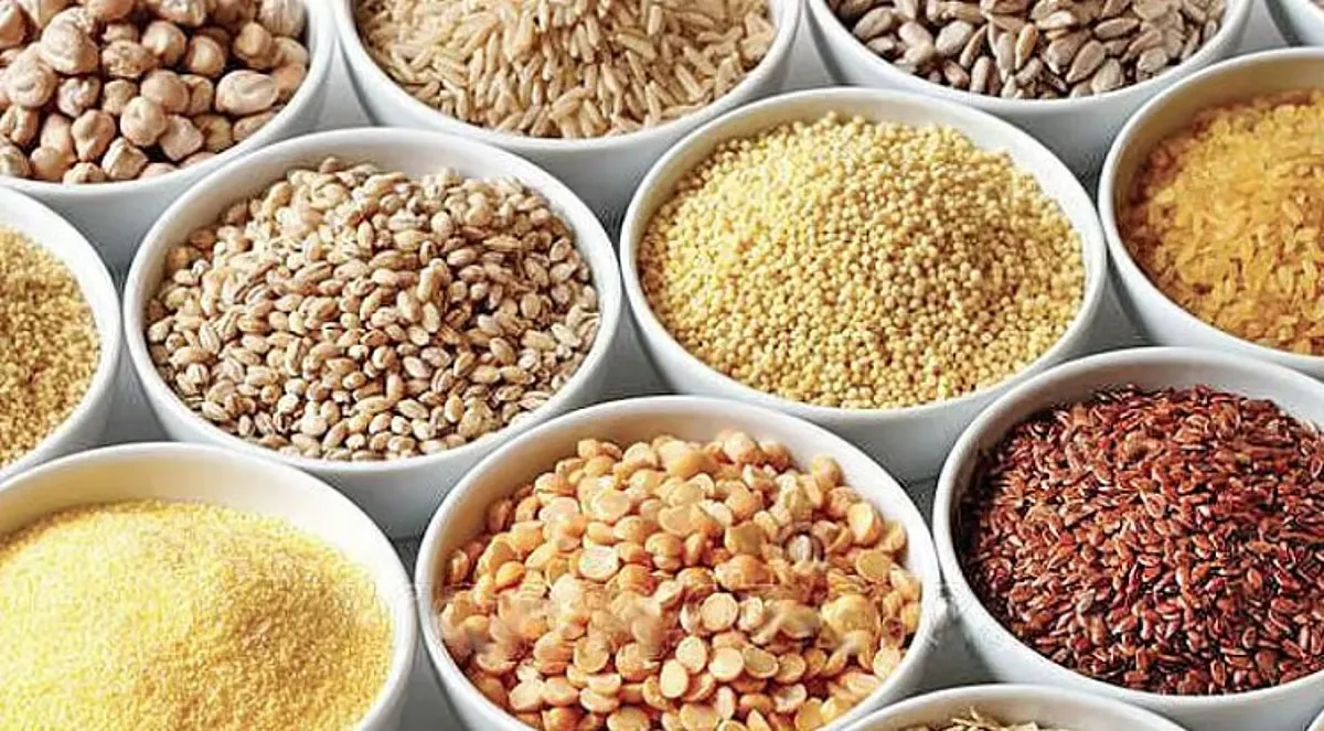 Oil Seeds and Pulses Export